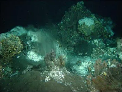 Comment se nomme cette immense chaîne de montagnes sous-marine traversant tout l'océan Atlantique du Nord au Sud ?