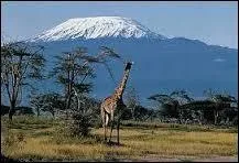 Parmi ces volcans, lequel ne fait pas partie du Grand Rift africain ?