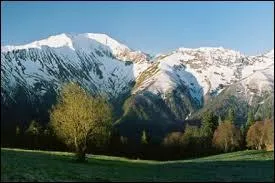 Lequel de ces pays n'est pas traversé par la chaîne du Caucase ?