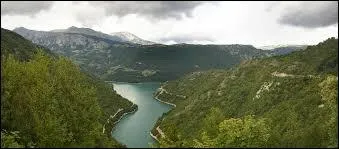 Parmi ces pays, lequel est traversé par les Alpes dinariques ?