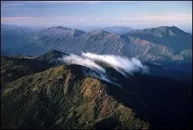 Voici la Cordillère australienne. Le long de quelle côte de l'Australie s'étire-t-elle ?