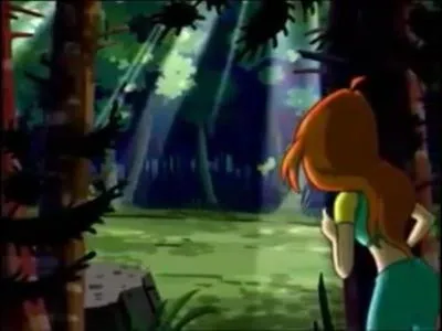 Elle se rend au parc avec son nouveau moyen de déplacement.
Dans une clairière, elle voit une surprenante scène. Une fée se bat avec :