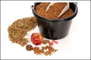 Les différents aliments. Coche l'intrus.