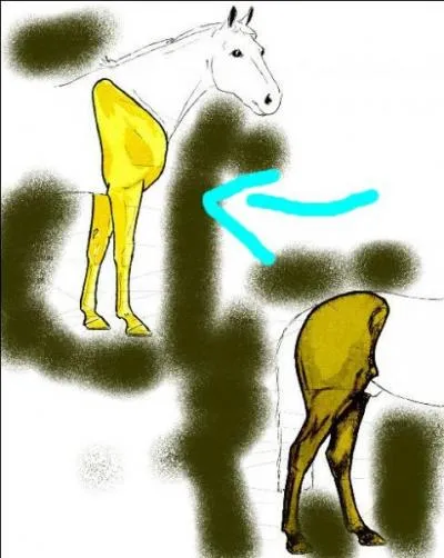 Description des membres. Coche l'intrus.