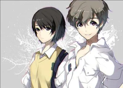 De quel animé viennent ces deux personnages ?