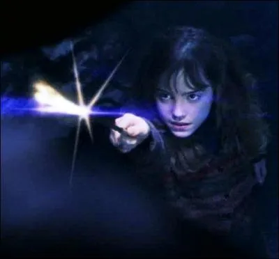 Quel est le sort que jette Hermione ?