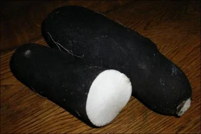 Jour 19. Plante potagère dont la partie comestible est la racine à chair blanche.