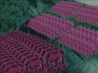 Les Trix vont invoquer :