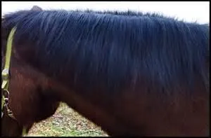 Quelle est la bonne expression ?