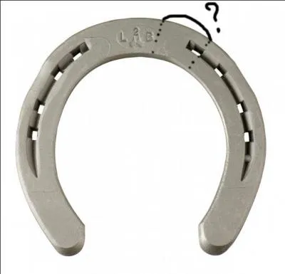 Cette partie du fer est nommée..