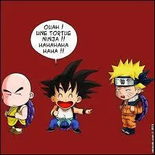 Alors là, Goku a raison ; il l'a bien trouvé sa blague ; mais quelle blague ?