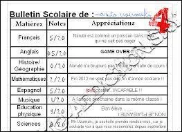 Mesdames et messieurs ; aujourd'hui en exclusivité le bulletin scolaire de Naruto ! Pourquoi Naruto a-t-il eu 0/20 en histoire et géographie ?