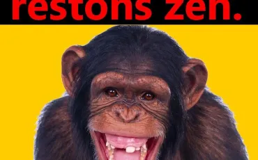 Quiz Expressions