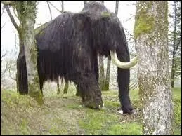 Lequel des animaux suivants a déjà disparu ?