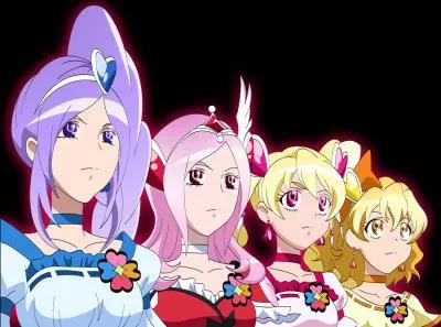 En quelle année est sortie la série "Fresh Pretty Cure ! " ?