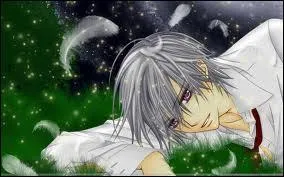 Quel âge Zero Kiryû a-t-il ?