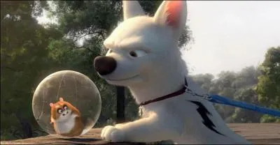 De quel film d'animation Disney/Pixar est tirée cette image ?