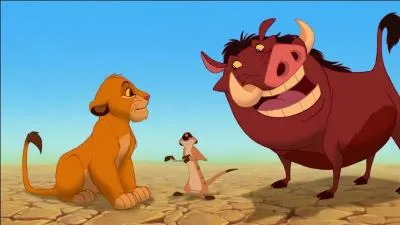 De quel film d'animation Disney/Pixar est tirée cette image ?