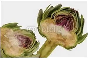 Que suggère l'illustration ?