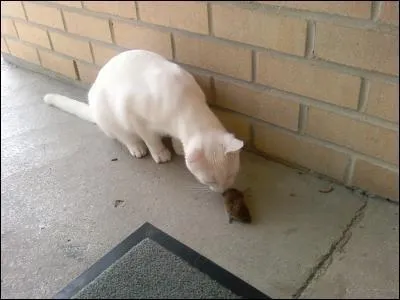 Qui rencontra-t-il ?