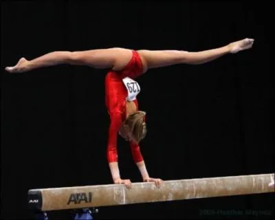 Quel est l'agrès ci-dessous ?