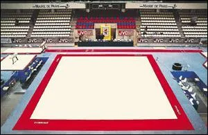 Quel est l'agrès ci-dessous ?