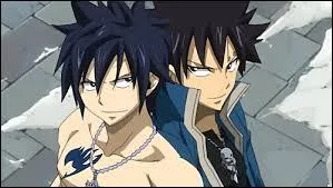 Les Exceeds apparaissent dans le manga...