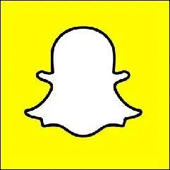 Identifiez le logo de ce réseau social.