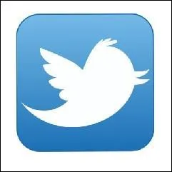 Identifiez le logo de ce réseau social.