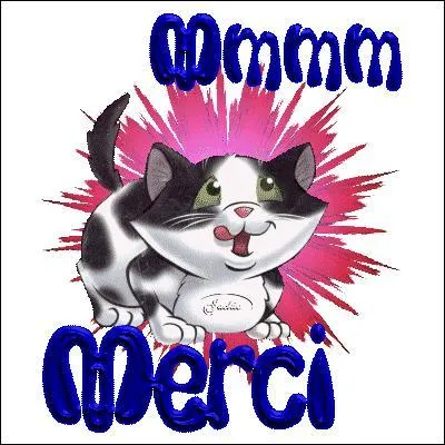 Langue parlée principalement en Finlande :