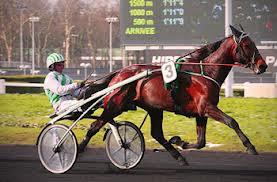 Quiz Chevaux