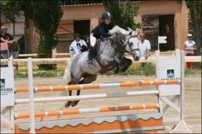 Quelle est cette race ?