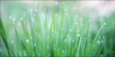 Que peut bien être une 'fraicheur' ?