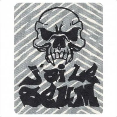 Si vous avez le 'seum' quels sentiments ressentez-vous ?