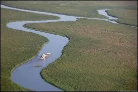 La superficie du Nil correspond à 2 % de toute la superficie de l'Afrique c'est...