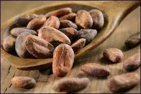 Les fèves de cacao ont été utilisées par les Aztèques :