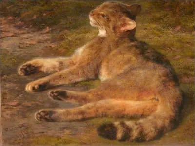 Qui a peint "Chat sauvage" ?