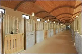 Dans les boxs, à quoi sert la litière ?