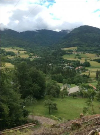 Quel est le régime alimentaire du cheval ?