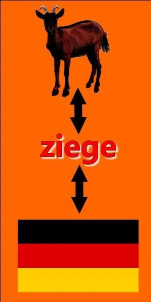 Il y a une erreur sur l'image.