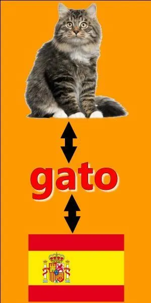 Il y a une erreur sur l'image.