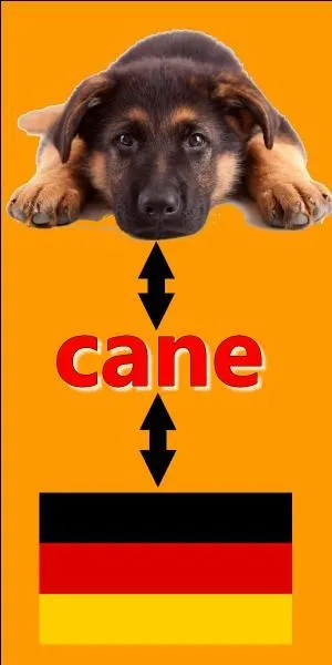 Il y a une erreur sur l'image.