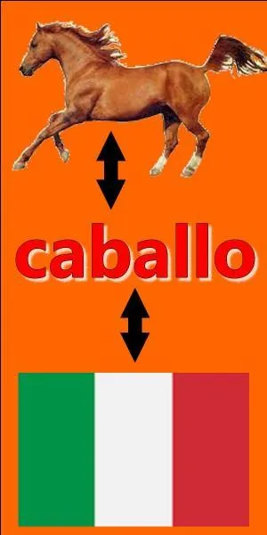 Il n'y a pas d'erreur sur l'image.