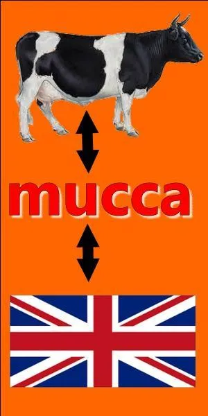 Il y a une erreur sur l'image.