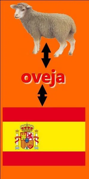 Il n'y a pas d'erreur sur l'image.