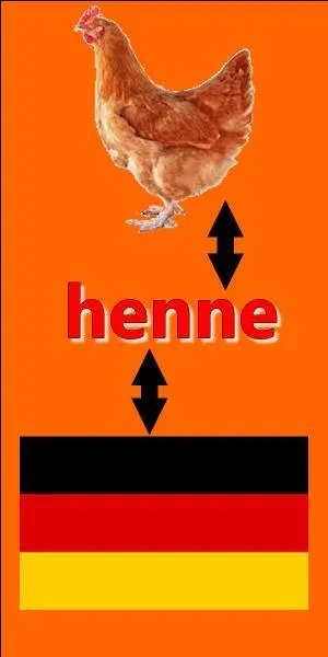 Il y a une erreur sur l'image.