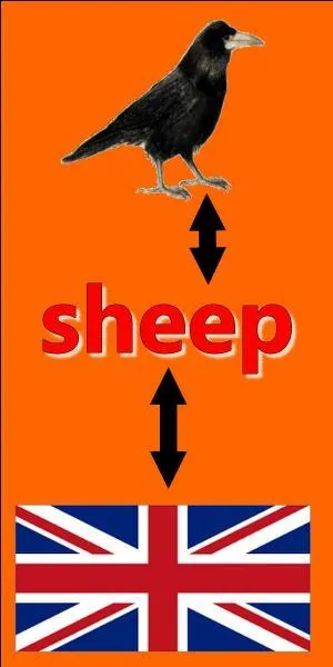 Il n'y a pas d'erreur sur l'image.