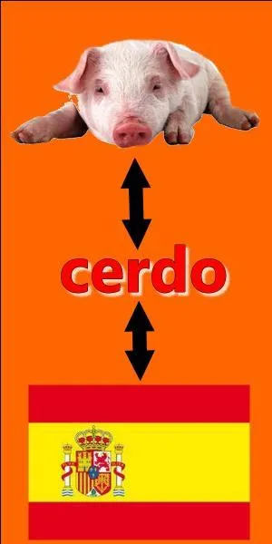 Il n'y a pas d'erreur sur l'image.