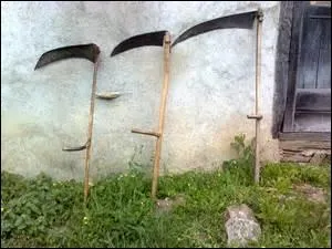 Quelle est la bonne association entre illustration et propositions ?