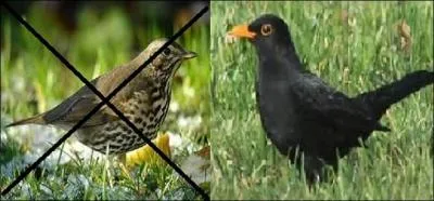 N'oubliez pas d'agrandir, tout a son importance.
Quelle expression correspond à l'illustration ?